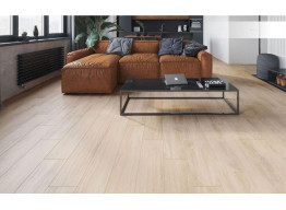 Timber Allore