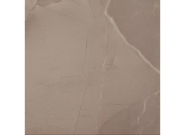 PASSION LUX TAUPE (60X60)