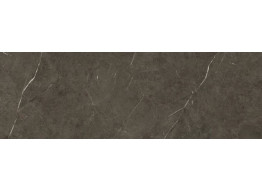 TESSINO BRONZE (40X120)