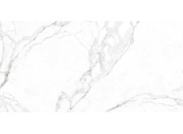 STATUARIO BELGIA B (120x240)