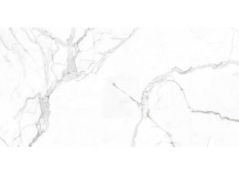 STATUARIO BELGIA C (120x240)