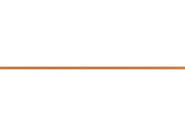 Listel CHARME WLASW001 orange (1,5X59,8)
