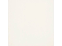 TREND DAK63652 ivory rectified (2 гат) (60X60)
