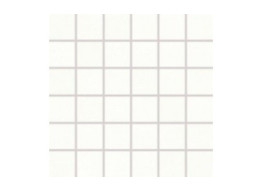 Mosaic TENDENCE WDM06050 white (30X30)