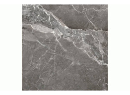 EARTHSTONE GRAPHITE (60X60)