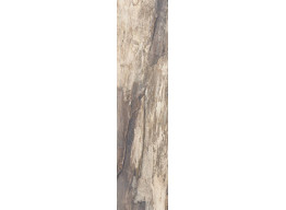 PETRIFIED TREE BEIGE BARK 924D1R (22,5x90)