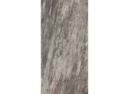 PETRIFIED TREE GREY BARK 944D8R