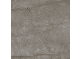 FENIX GRIS REC. NPLUS (75x75)