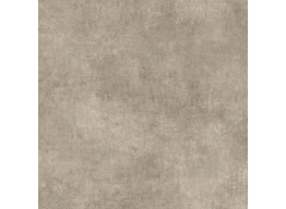 Пол Alpha Taupe (60,8*60,8)