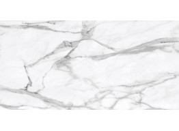 ANGELO SILK 120 SILVER (60X120)