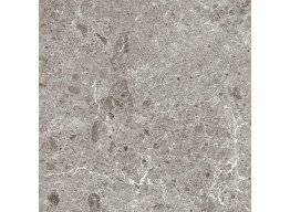 Artic Gris Pulido 5,6 Mm (120x120)