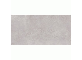 AVENUE GREY (60x120)