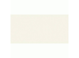 Basic Blanco 5,6 Mm (50x100)