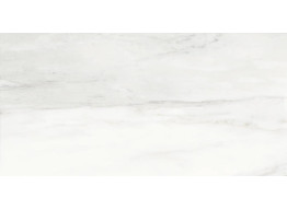 BIANCO DELICATTO POLISHED (60x120)