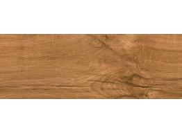 Bricola Miel Nat (20*75)