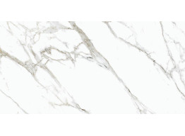 CALACATTA GOLD POLISHED (60x120)