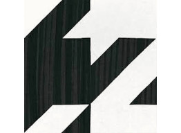 W (20x20)