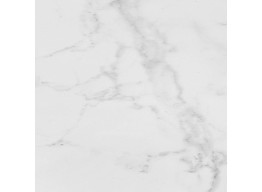 G347 CARRARA BLANCO BRILLO (59,6x59,6)