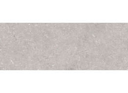 G270 CORAL ACERO (45x120)