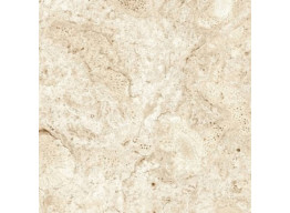 сo 5,6Mm (120x120)