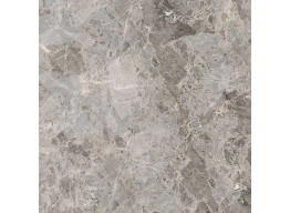 G347 ELEGANT GREY (59,6x59,6)