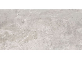 Es Erding Silver (60x120)
