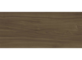 G2500 EWOOD HONEY NATURE (120x270)