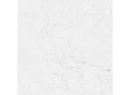 G347 FONTANA (59,6x59,6)