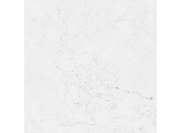 G392 FONTANA MATT (120x120)