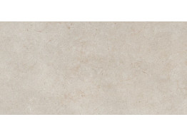 GALA TAUPE REC (60x120)