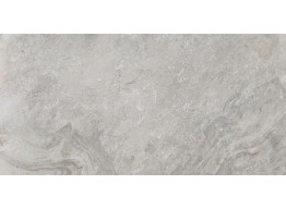 G369 IMAGE SILVER (59,6x120)