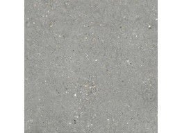 Mitica Gris Rec. (60x60)