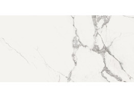 NEW ICE WHITE REC. (60x120)