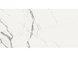NEW ICE WHITE REC. NPLUS (60x120)