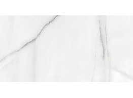 NEWBURY WHITE PULIDO RECT (60x120)