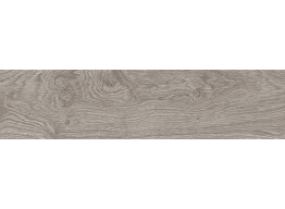 G384 OXFORD ACERO (29.4x120)