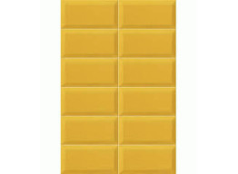 Plus Bissel Tiger (10X20)