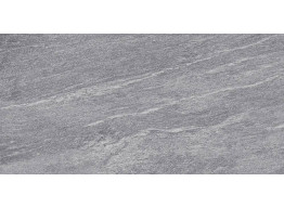 G373 RIVER SILVER ANT. (59.6x120)