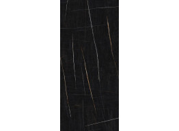 Sahara Noir Polished (120x280)