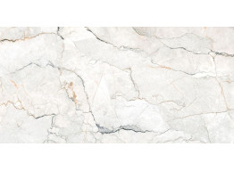 Sauvage Pearl Natural Rect. (60*120)