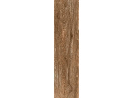 Viggo Nogal (20x75)