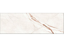 Volterra Marfil Rec. (31,5*100)