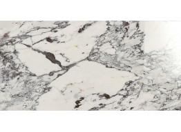 M3A9 ALLMARBLE CAPRAIA LUX RT (60X120)