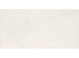 MMFC ALLMARBLE ALTISSIMO (60X120)