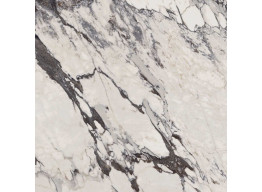 M29S GRANDE MARBLE LOOK CAPRAIA RETT (120X120)