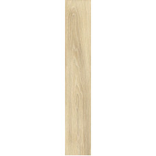 187982 TRONCAIS MIELE RET/MATT (20x120)
