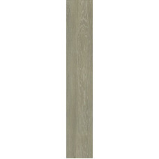 187985 TRONCAIS SAGE RET/MATT (20x120)