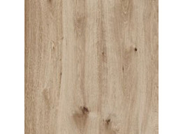 Woodtale Xt20 Nocciola Rett R4Xh (60x60x2)