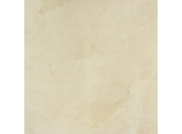 EVOLUTION MARBLE GOLDEN CREAM (60x60)