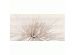 AVANGARDE WHITE INSERTO FLOWER (29,7x60)